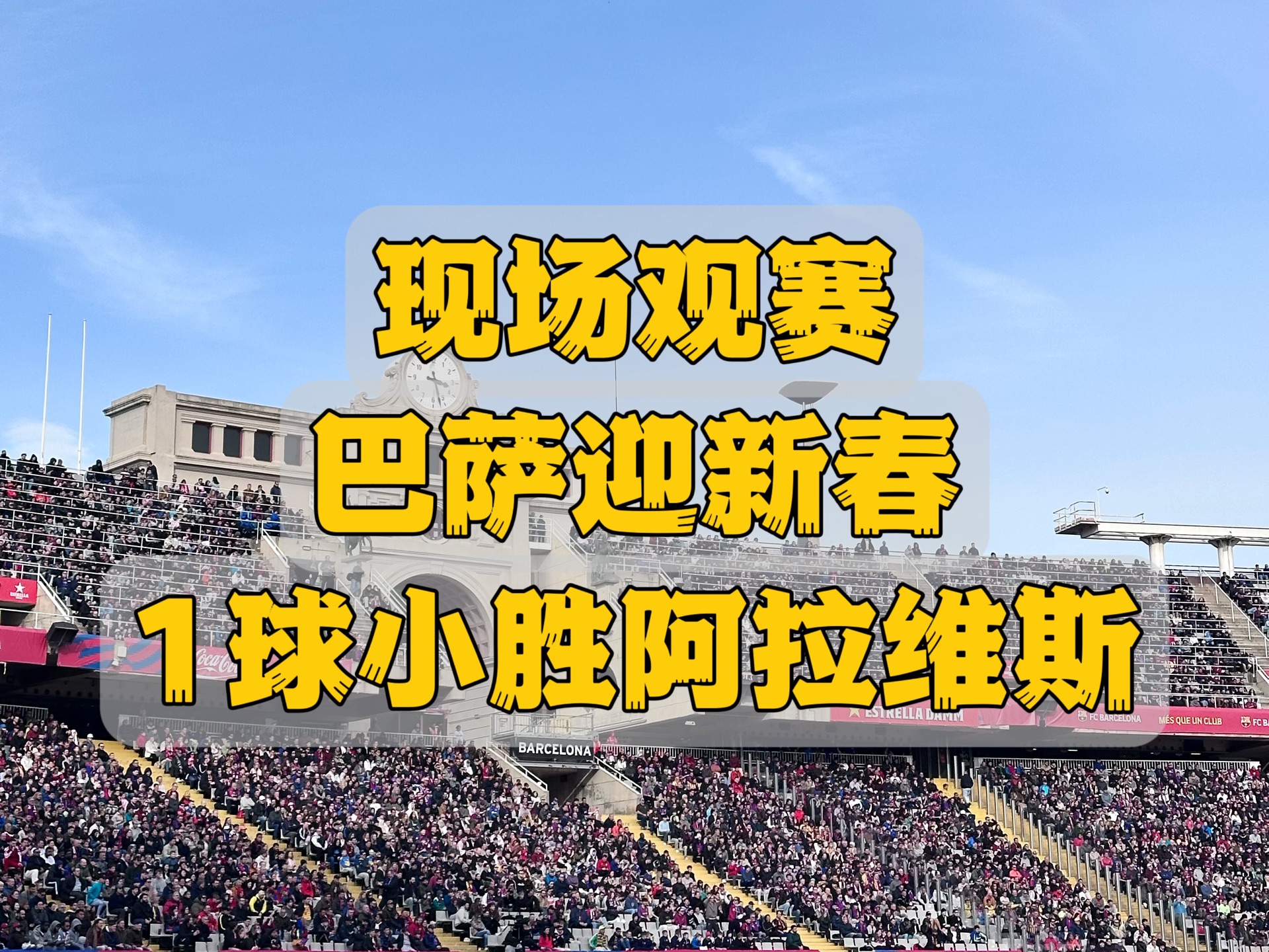 阿维斯在主场实现了一场大胜 阿维斯在主场实现了一场大胜
